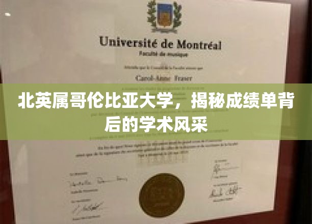 北英属哥伦比亚大学，揭秘成绩单背后的学术风采