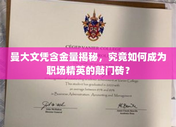 曼大文凭含金量揭秘，究竟如何成为职场精英的敲门砖？