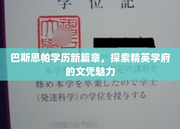 巴斯思帕新里程，解码顶尖学府的学历光环