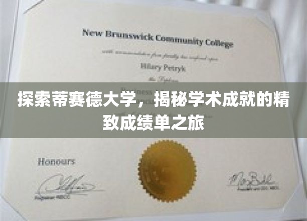 探索蒂赛德大学，揭秘学术成就的精致成绩单之旅