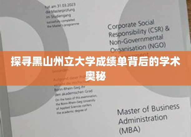 探寻黑山州立大学成绩单背后的学术奥秘