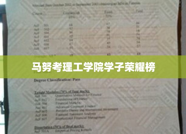 马努考理工学院精英风采大盘点