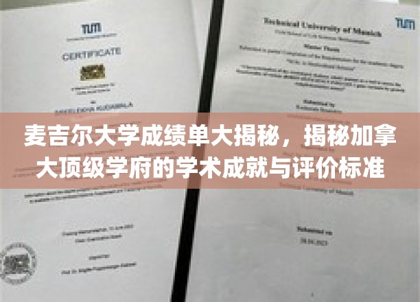 麦吉尔大学成绩单大揭秘，一窥加拿大顶级学府的学术成就与评价标准