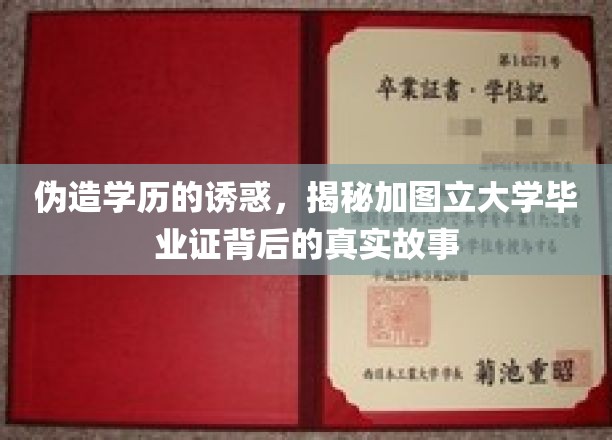 学历造假陷阱，揭秘伪造加图立大学毕业证的惊人真相