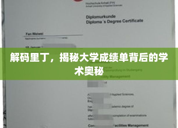 探寻里丁大学成绩单，解锁学术成就的神秘面纱