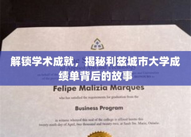 解锁学术成就，探寻利兹城市大学成绩单背后的故事