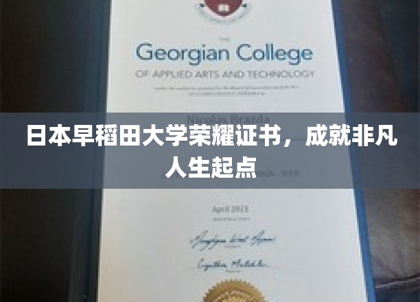 日本早稻田大学荣耀证书，成就非凡人生起点
