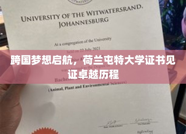 跨国之旅启航，荷兰屯特大学证书彰显卓越之旅