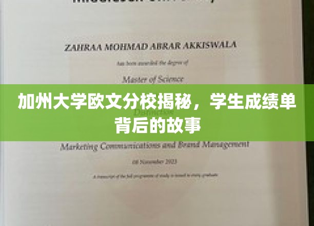 揭秘加州大学欧文分校，一窥学生成绩单背后的精彩故事