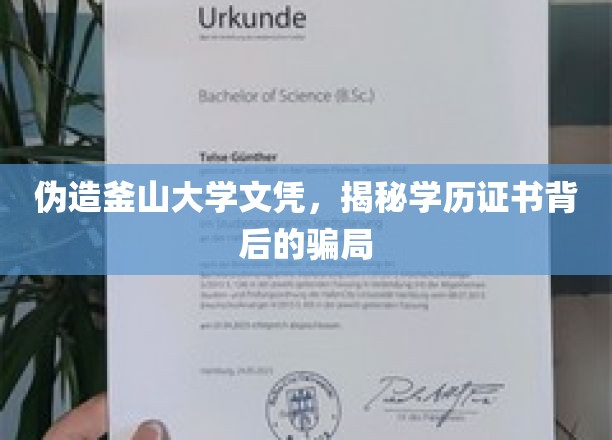 伪造名校文凭，揭秘学历认证的暗流涌动
