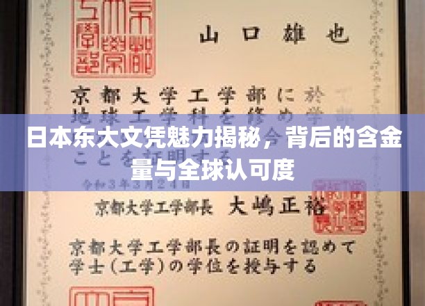 揭秘东大文凭全球热捧之谜，日本顶尖学府的含金量与影响力