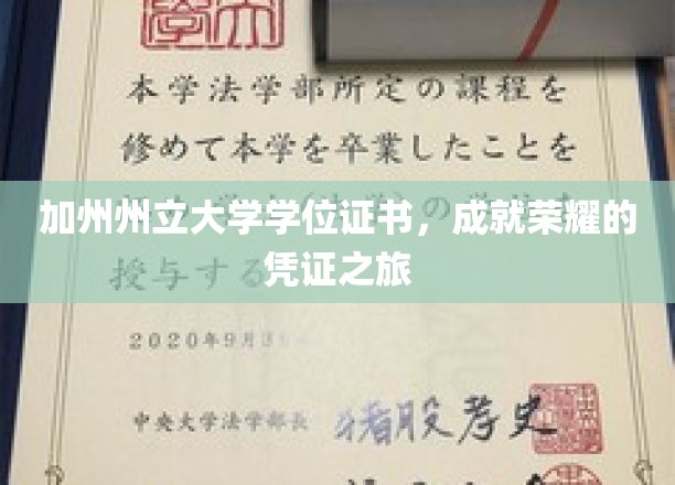 加州荣耀之路，解锁加州州立大学学位证书的非凡价值