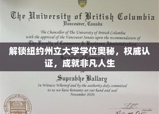 解锁纽约州立大学学位奥秘，权威认证，成就非凡人生