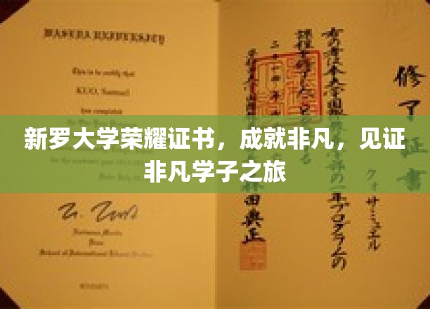 新罗荣耀见证，非凡学子成就之旅的璀璨证书