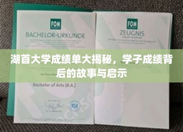 湖首大学成绩单背后的精彩人生解码