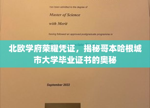 探寻哥本哈根城市大学证书背后的北欧荣耀之谜