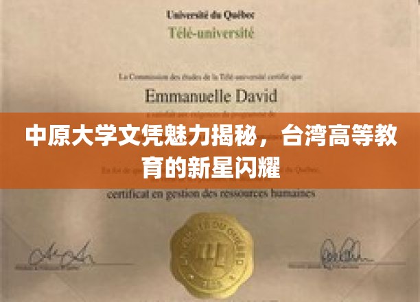中原大学文凭魅力独领风骚，台湾高等教育新星崛起之光