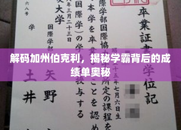 解锁伯克利学霸秘籍，揭秘顶尖成绩背后的学习之道