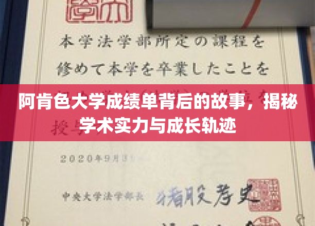阿肯色大学成绩单背后的故事，揭秘学术实力与成长轨迹