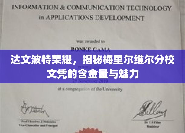 探寻梅里尔维尔分校文凭的璀璨价值，达文波特荣耀背后的教育魅力