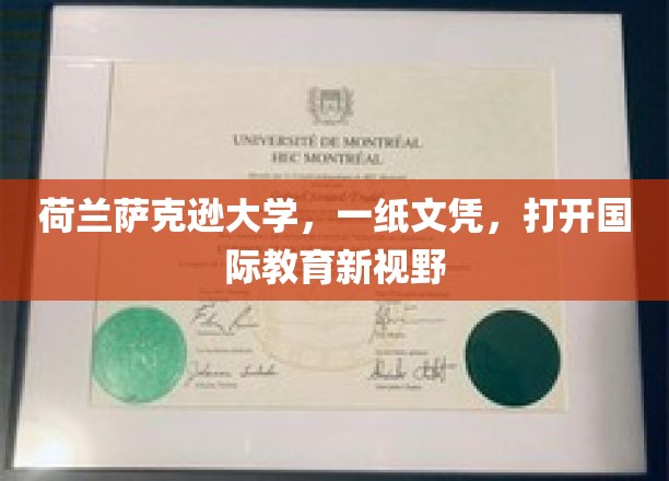 荷兰萨克逊大学，一纸文凭，开启国际教育新视野