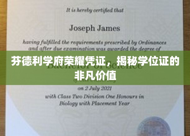 芬德利学府荣耀证照，探索学位证书的无尽魅力