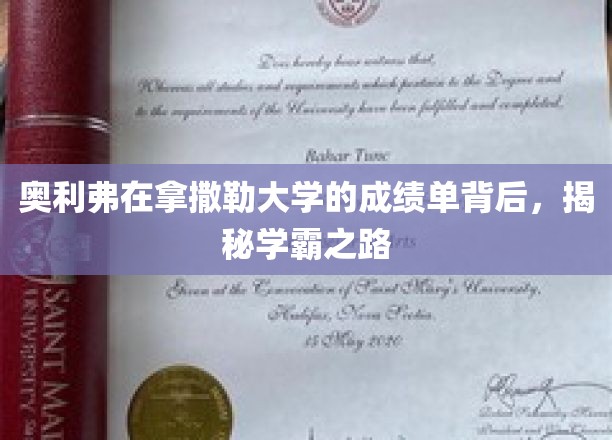 探寻奥利弗学霸秘籍，拿撒勒大学成绩单背后的成长轨迹