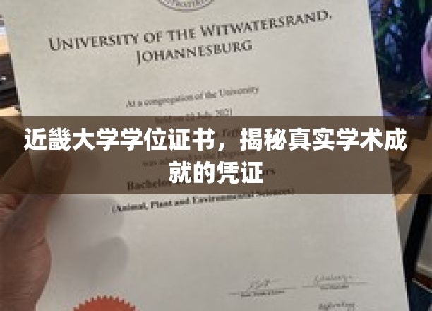 近畿大学学位证书，揭秘真实学术成就的凭证