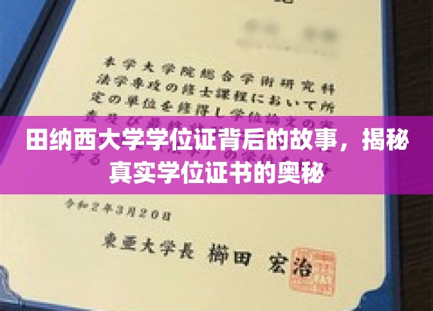 田纳西大学学位证背后的故事，揭示真实学位证书的奥秘