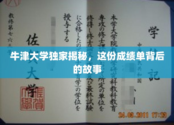 探寻牛津精英，揭开非凡成绩单背后的传奇故事