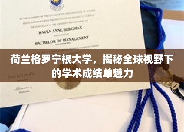 荷兰格罗宁根大学，揭秘全球视野下的学术成绩单魅力