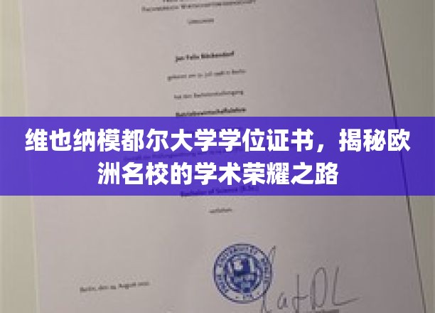 探索维也纳模都尔大学，欧洲顶尖学府的荣耀学位之旅