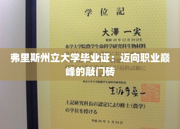 弗里斯州立大学毕业证：迈向职业巅峰的敲门砖