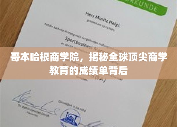 揭开哥本哈根商学院全球商学教育卓越成就的秘密面纱