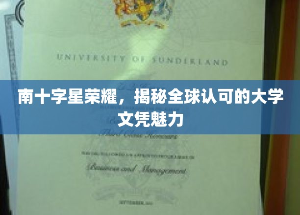 全球精英汇聚，探寻南十字星下文凭的璀璨魅力