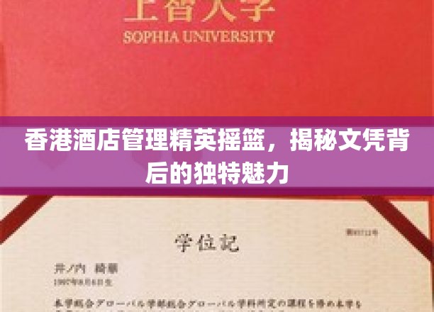 香港酒店管理界的璀璨明珠，探寻文凭背后的非凡魅力