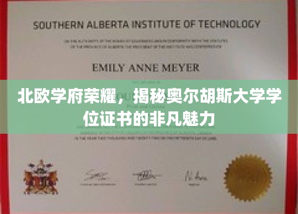 解锁北欧精英教育，奥尔胡斯大学学位证书的独到风采