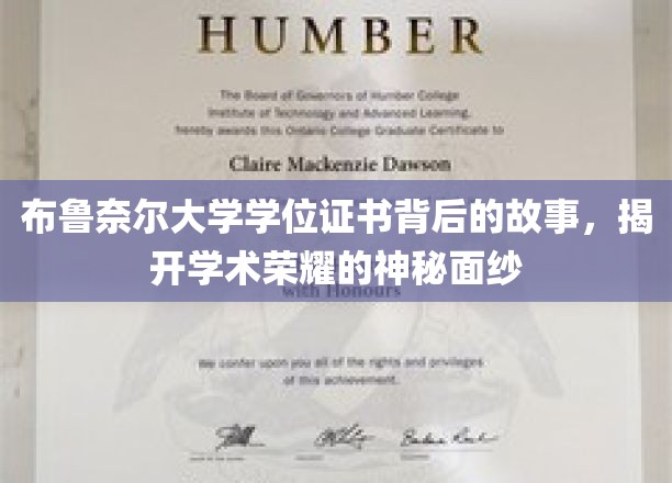 解码布鲁奈尔荣耀，揭秘学位证书背后的传奇故事