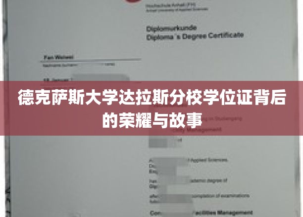 德克萨斯大学达拉斯分校学位证，探寻荣耀背后的传奇故事