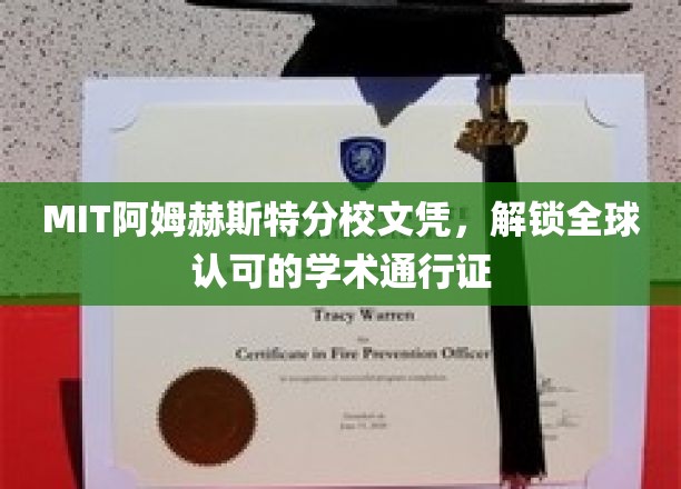 MIT阿姆赫斯特荣耀，掌握全球通行无阻的学术护照