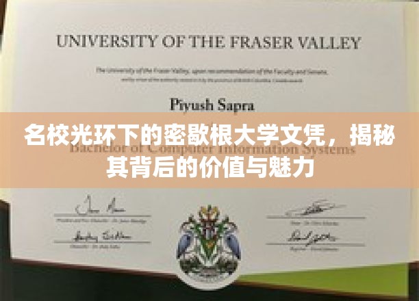 密歇根大学文凭，名校光环下的价值与魅力探秘