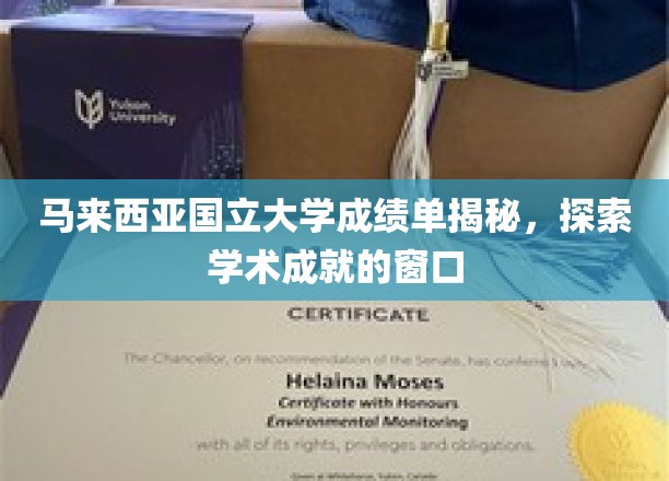 马来西亚国立大学成绩单揭秘，探索学术成就的窗口