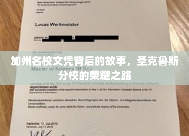 解码圣克鲁斯分校，加州名校的辉煌传奇