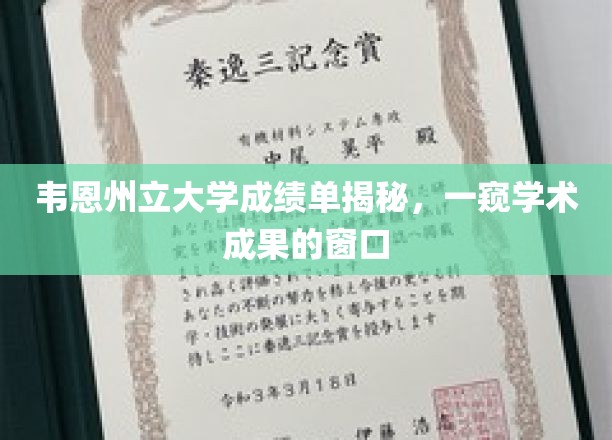 韦恩州立大学成绩单揭秘，一窥学术成果的窗口