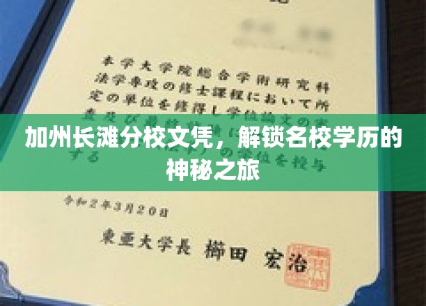 长滩名校通行证，揭秘加州分校学历背后的非凡之路