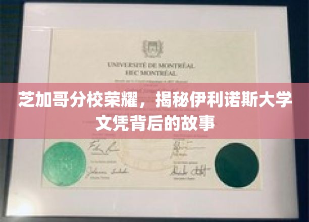 伊利诺斯大学芝加哥分校，揭秘名校文凭背后的传奇历程