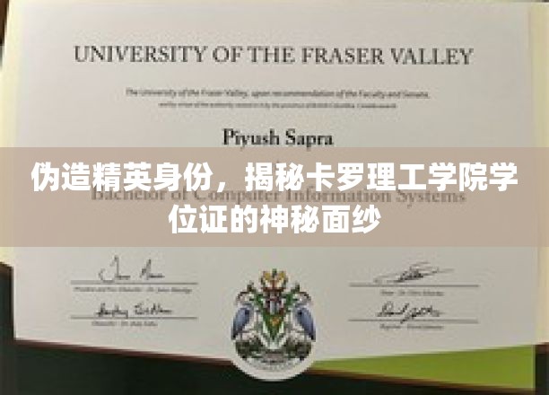 揭秘卡罗理工学院学位证背后的真实身份之谜
