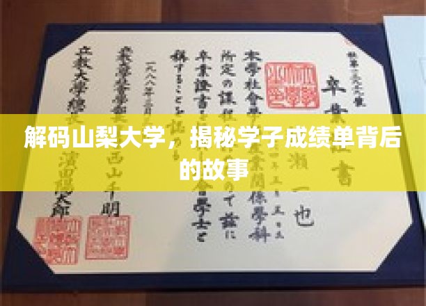 解码山梨大学，揭秘学子成绩单背后的故事