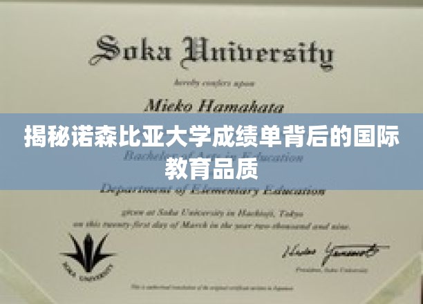 诺森比亚大学成绩单，探寻国际教育品质的秘密通道