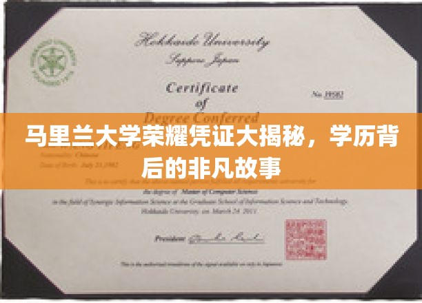 马里兰大学荣耀凭证，揭开学历背后的传奇故事